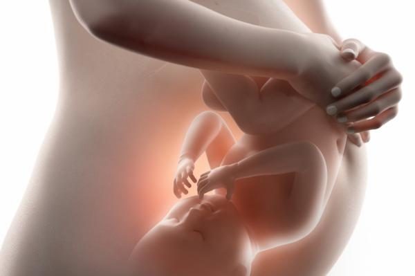 Riesgos de embarazo. Métodos anticonceptivos y prevención de enfermedades.